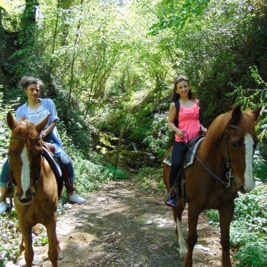 People riding horse in the woods of Vesuvius National Park