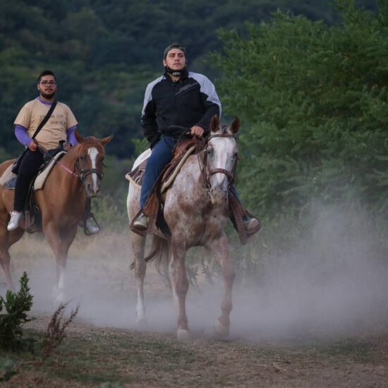 People riding horse in the woods of Vesuvius National Park