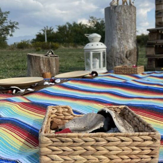 picnic allestito molto chic in un area verde del vesuvio