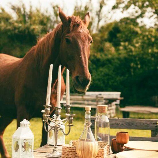 una tavola allestita in maniera romantica e country con un cavallo nei pressi