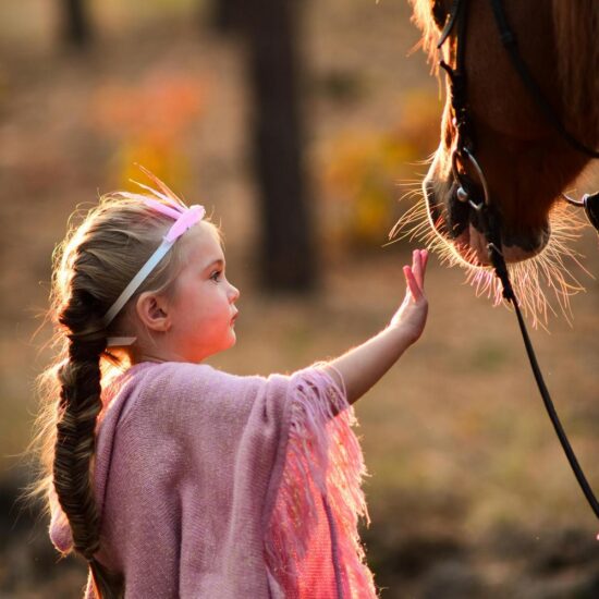 Charming little girl dressed like a princess stands with a horse in the autumn Naples forest