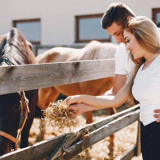 Cute couple with a horses. Lady in a white t-shirt. Pair in a summer park