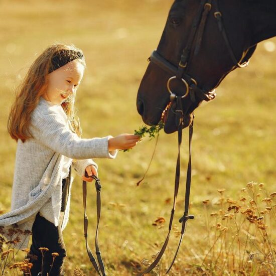 Child with a horse. Little girl in a autumn park. Vesuvius National Park. Photo session.