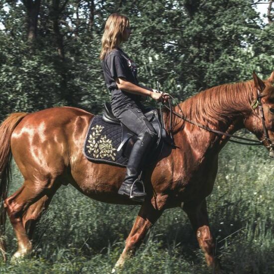 People riding horse in the woods of Vesuvius National Park