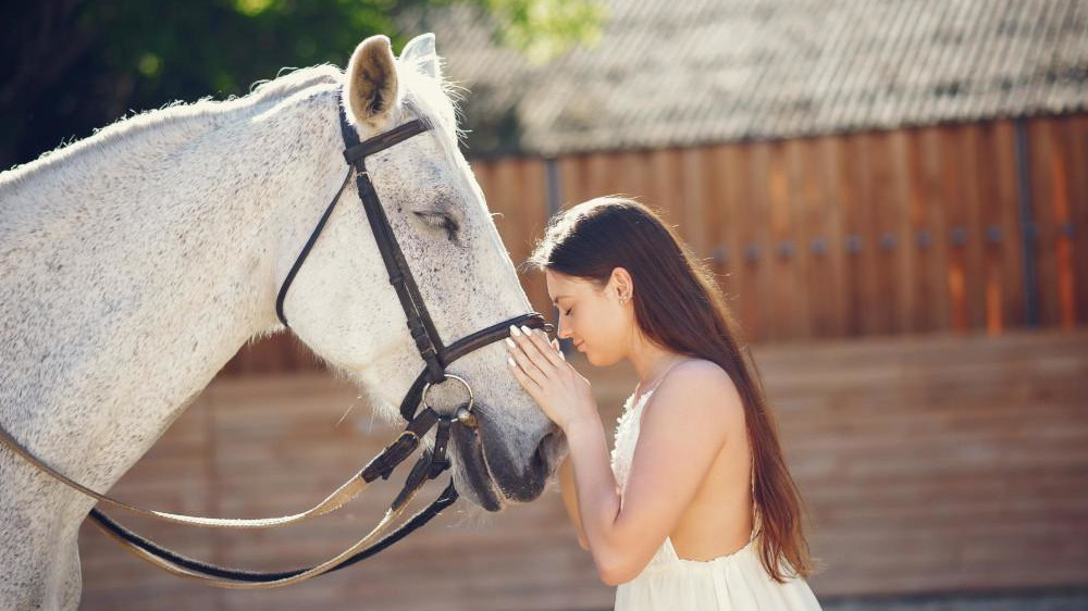 Elegant girl in a long white dress. Lady with horse